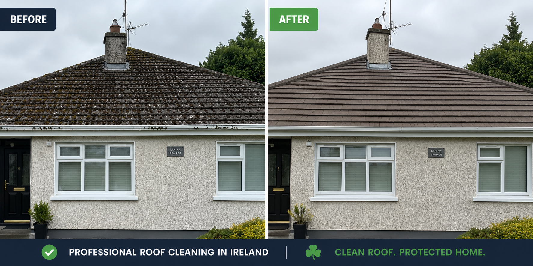 Professional roof cleaning in Carlow removing moss and algae